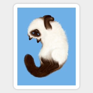 Himalayan Cat (Blue Background) Magnet